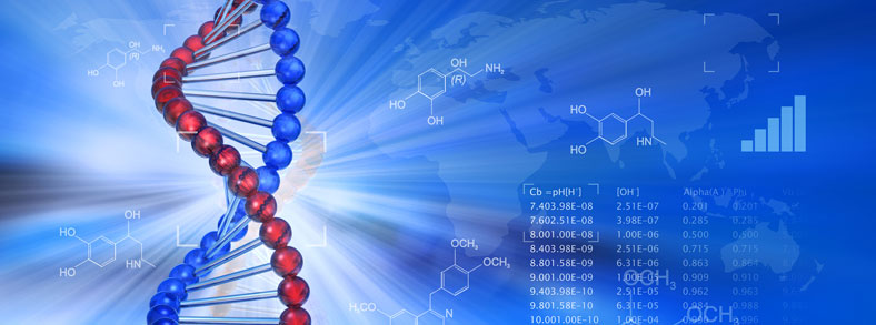 Long-Range Research Initiative (LRI)